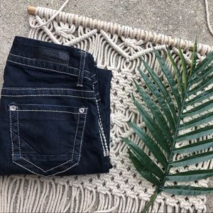 Daytrip Jeans Size 24 Lynx Skinny Crop